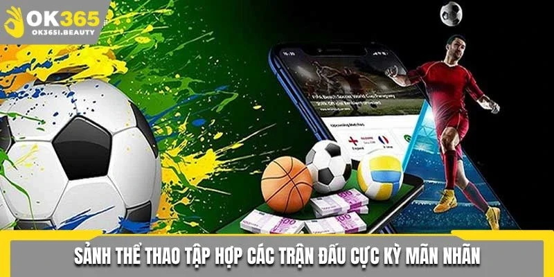 Sảnh thể thao tập hợp các trận đấu cực kỳ mãn nhãn